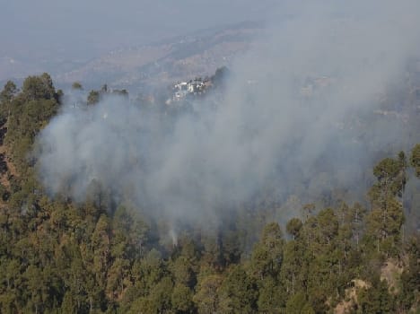 Satkhol the forest fire flares up again